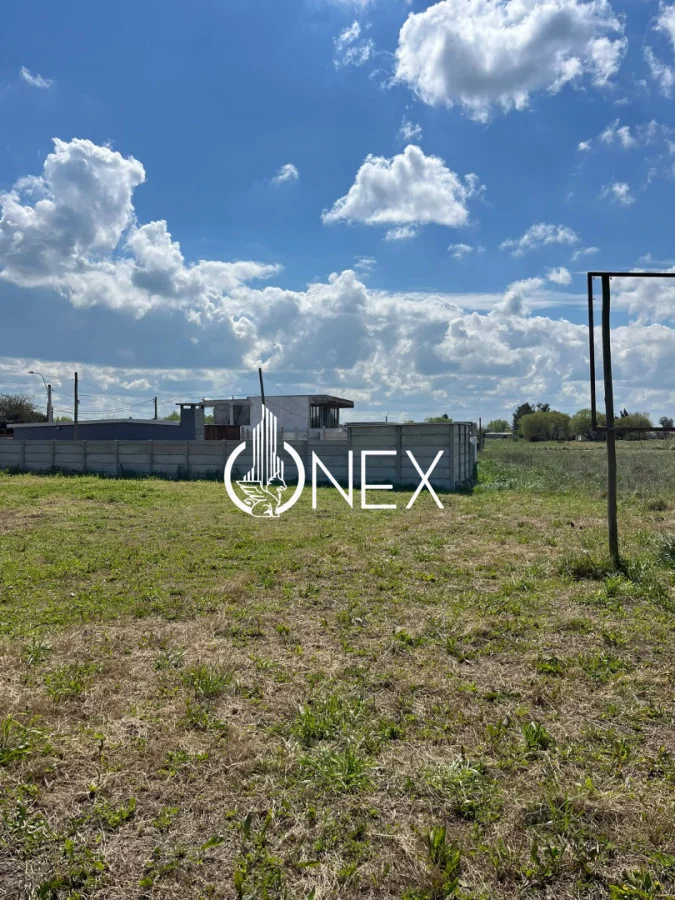 Terreno en Progreso, propiedad 295946 -Imagen 5