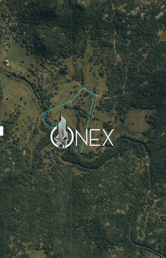 Chacra en Aigua, propiedad 296140 -Imagen 1