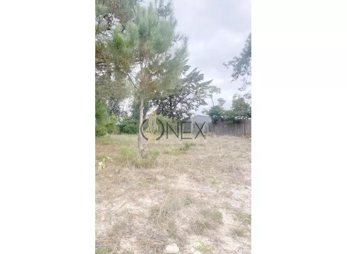imagen  de la propiedad 264421