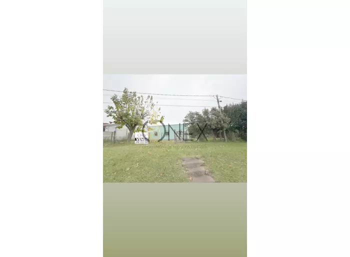 imagen  de la propiedad 267003