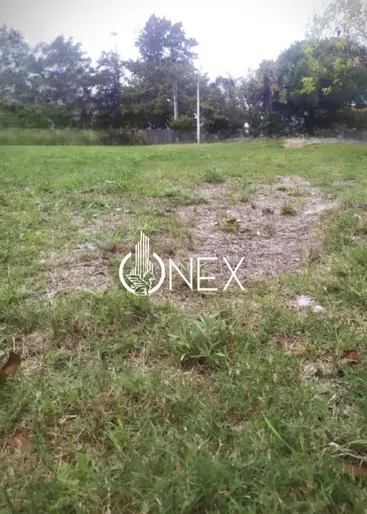 imagen  de la propiedad 276733