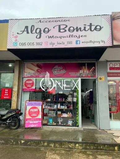 imagen  de la propiedad 294608
