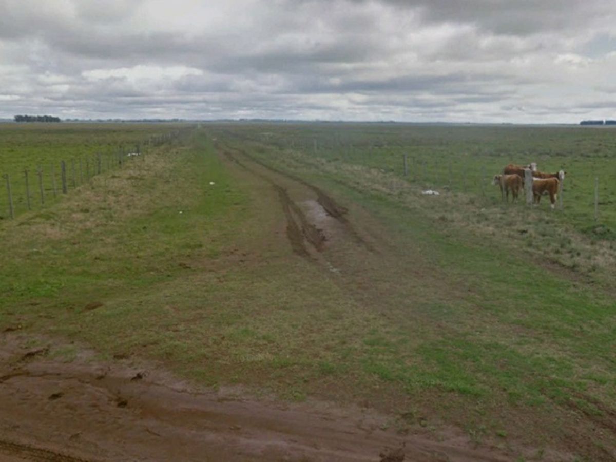 Campo en Salto, propiedad 118338 -Imagen 3