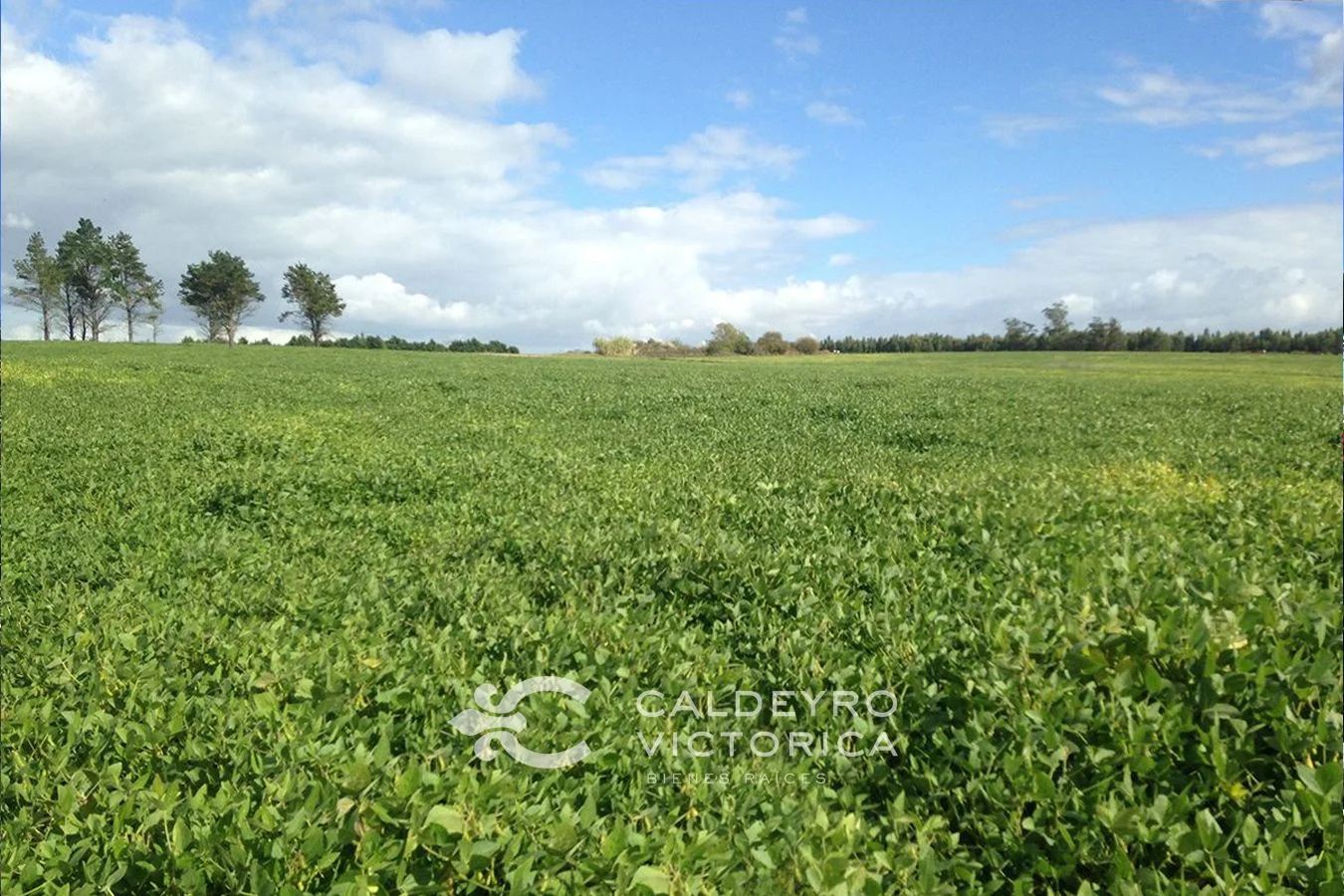 Campo en Joaquín Suárez, propiedad 137727 -Imagen 1