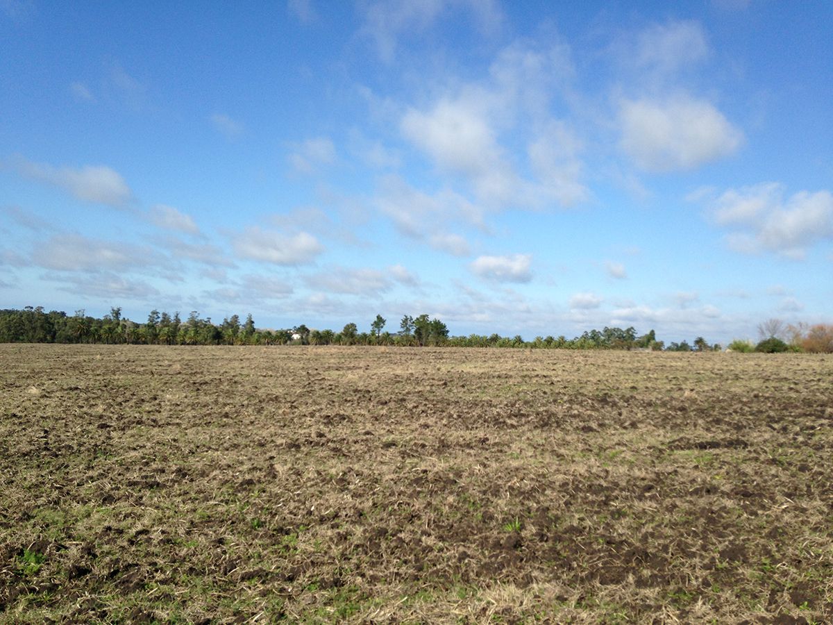 Campo en Joaquín Suárez, propiedad 137727 -Imagen 5