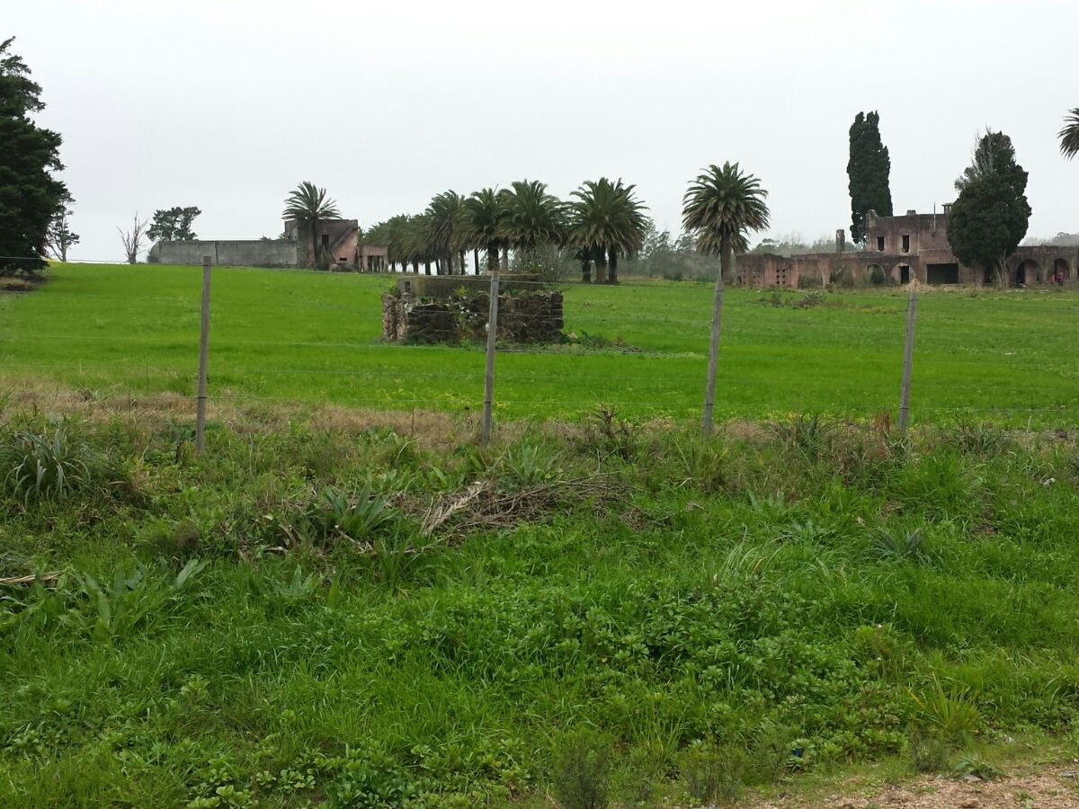 Campo en Joaquín Suárez, propiedad 137727 -Imagen 3