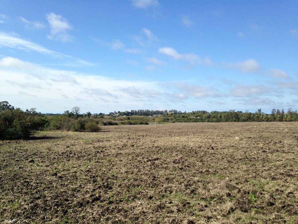 Campo en Joaquín Suárez, propiedad 137727 -Imagen 6