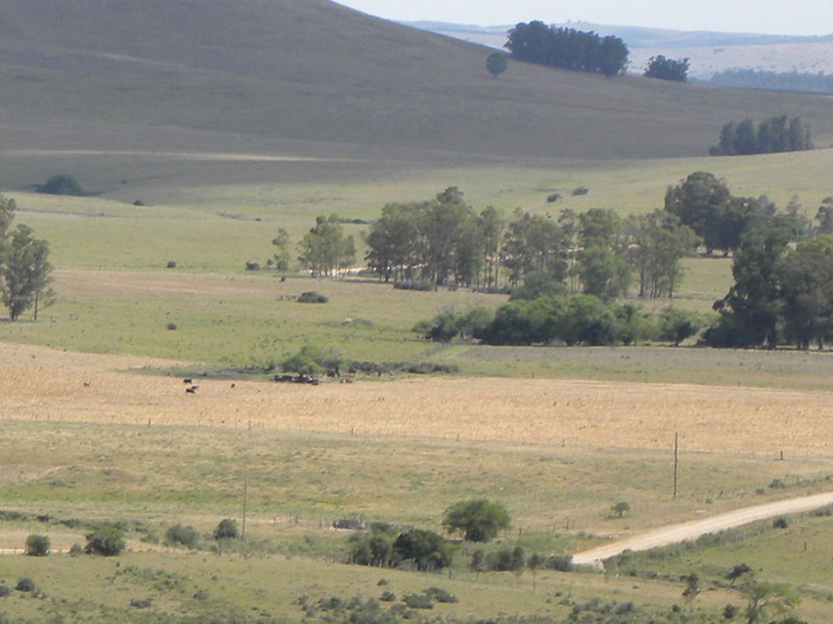 Campo en Solis de Mataojo, propiedad 137728 -Imagen 4