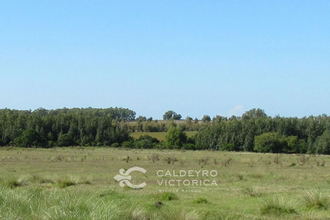 Campo en Canelones, propiedad 149979 -Imagen 1