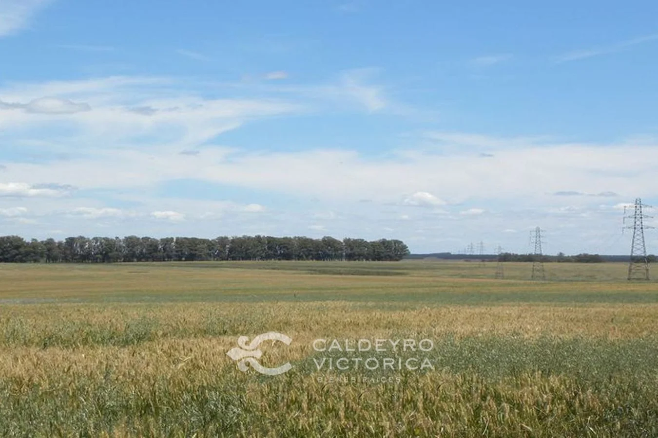 Campo en Grecco, propiedad 150211 -Imagen 1