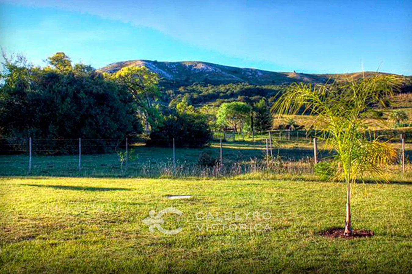 Campo en Mariscala, propiedad 150213 -Imagen 1