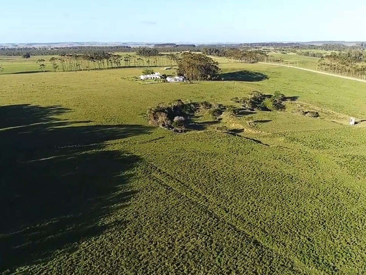 Campo en Laguna de Rocha, propiedad 151850 -Imagen 5