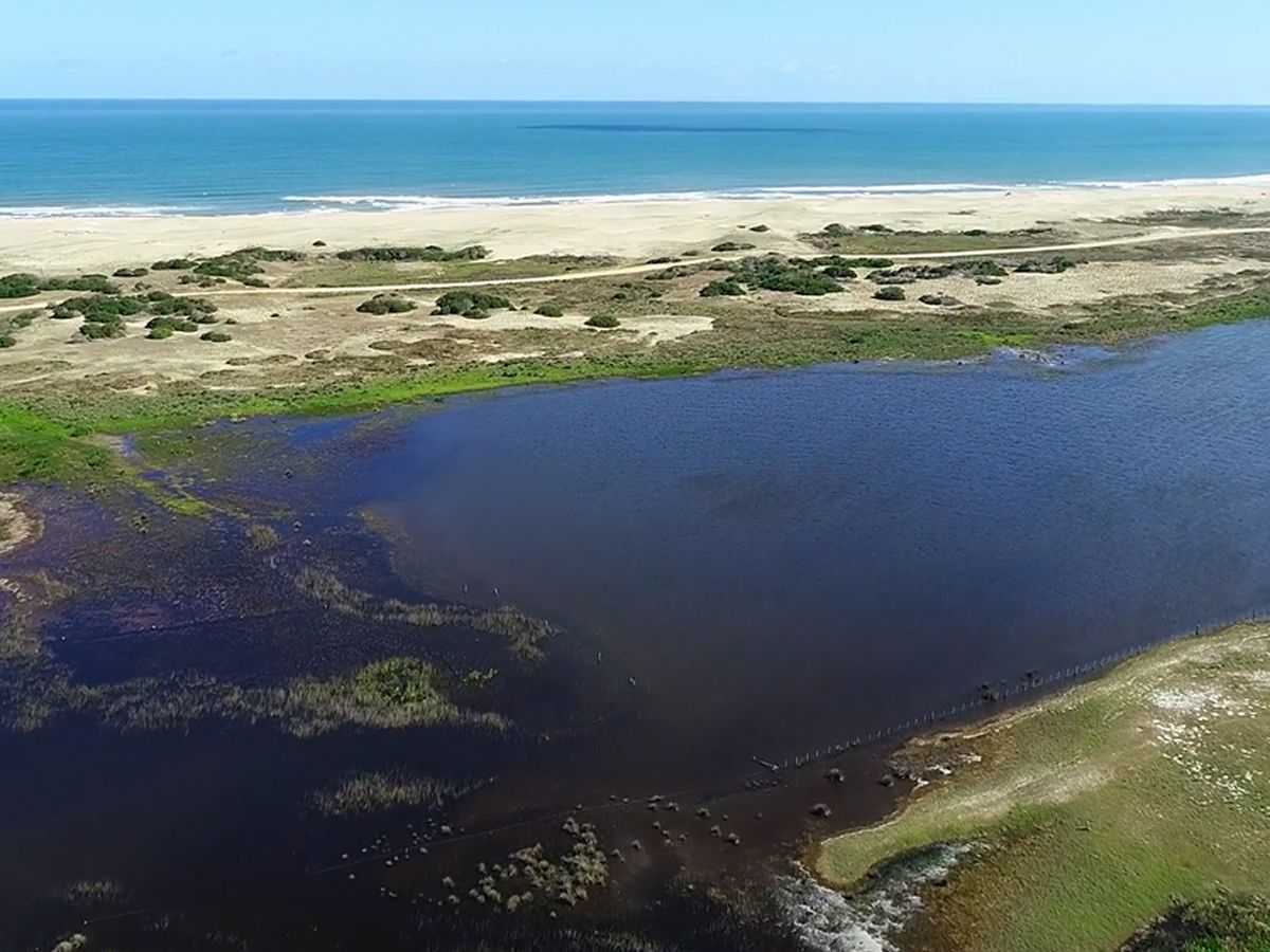 Campo en Laguna de Rocha, propiedad 151850 -Imagen 6