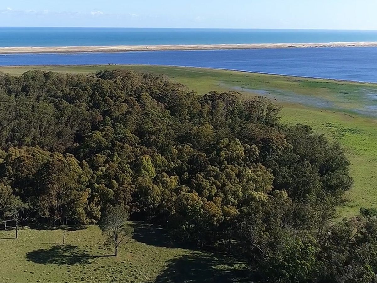 Campo en Laguna de Rocha, propiedad 151850 -Imagen 7