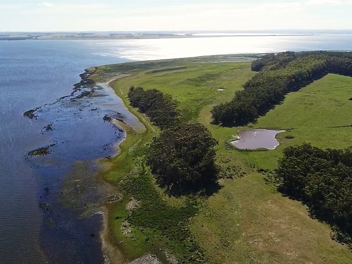 Campo en Laguna de Rocha, propiedad 151850 -Imagen 8