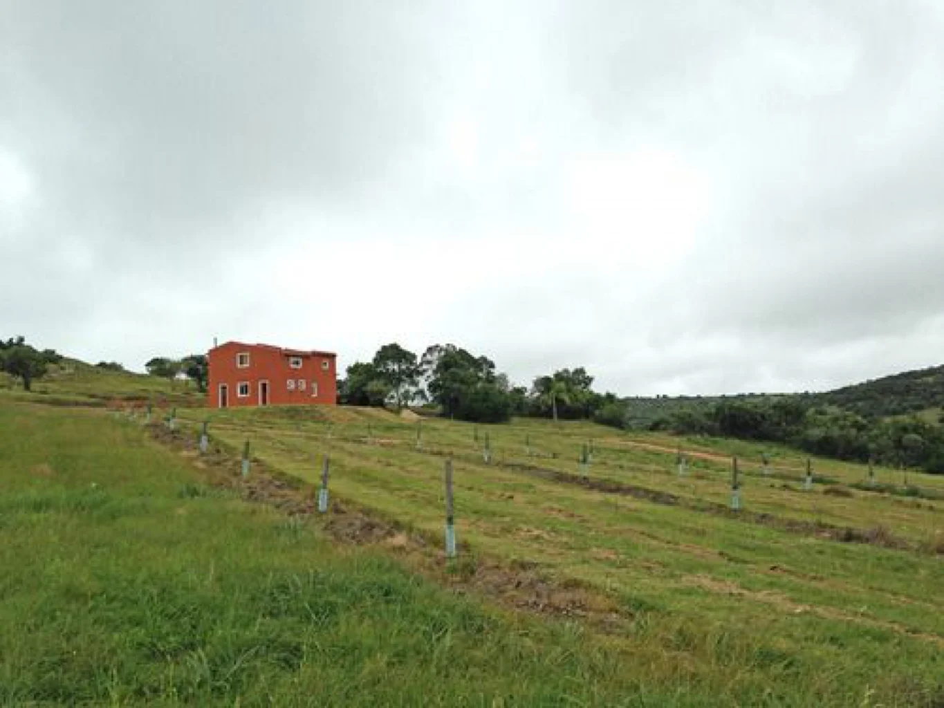 Campo en Aigua, propiedad 152998 -Imagen 11