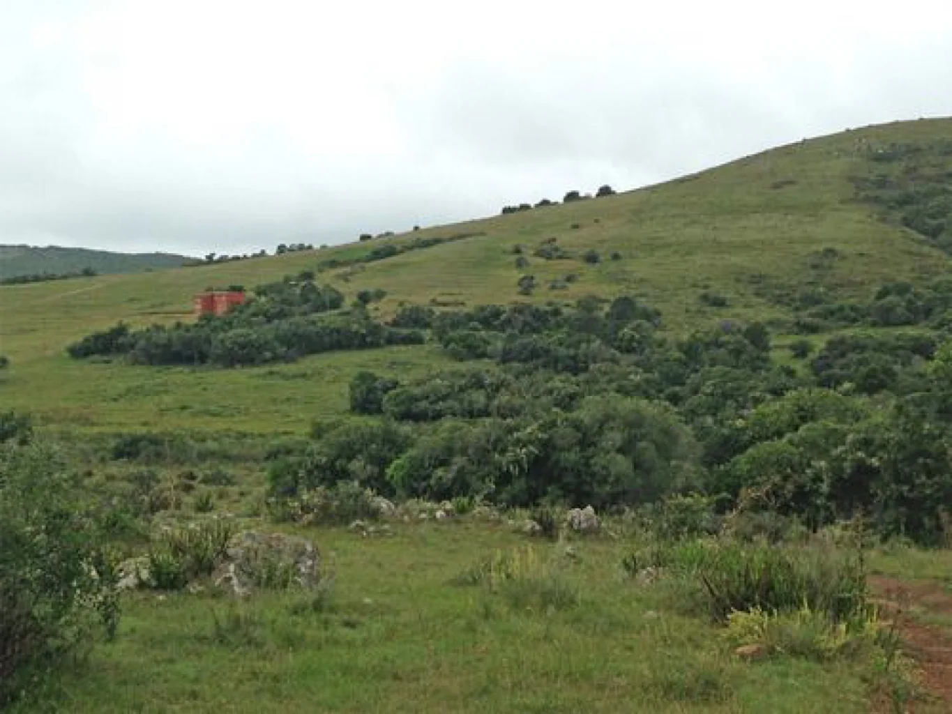 Campo en Aigua, propiedad 152998 -Imagen 2