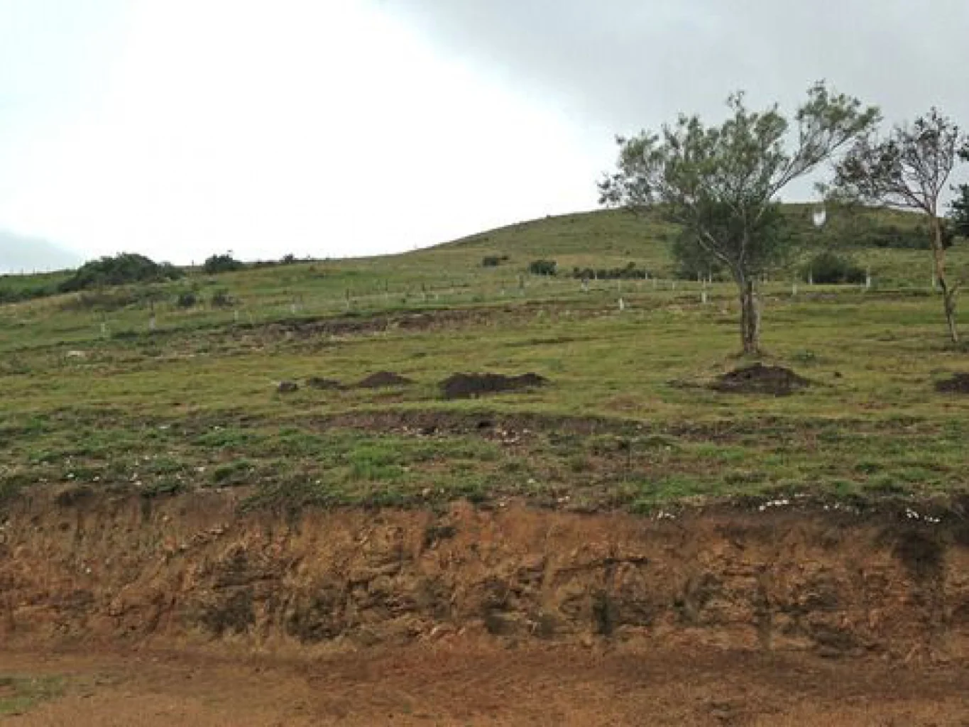 Campo en Aigua, propiedad 152998 -Imagen 6