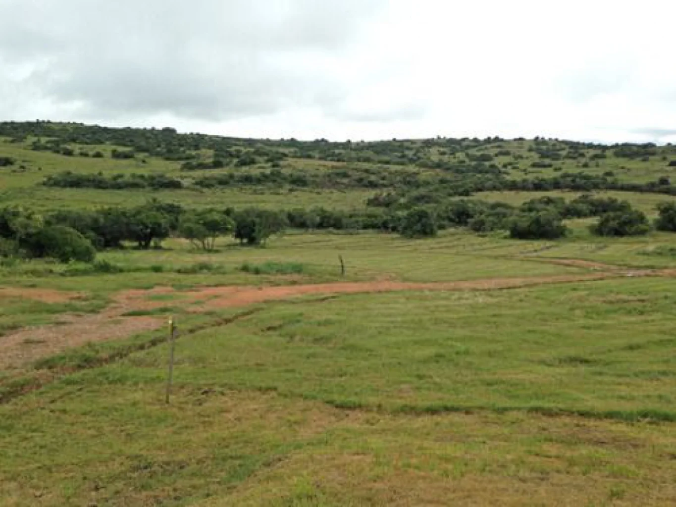 Campo en Aigua, propiedad 152998 -Imagen 7