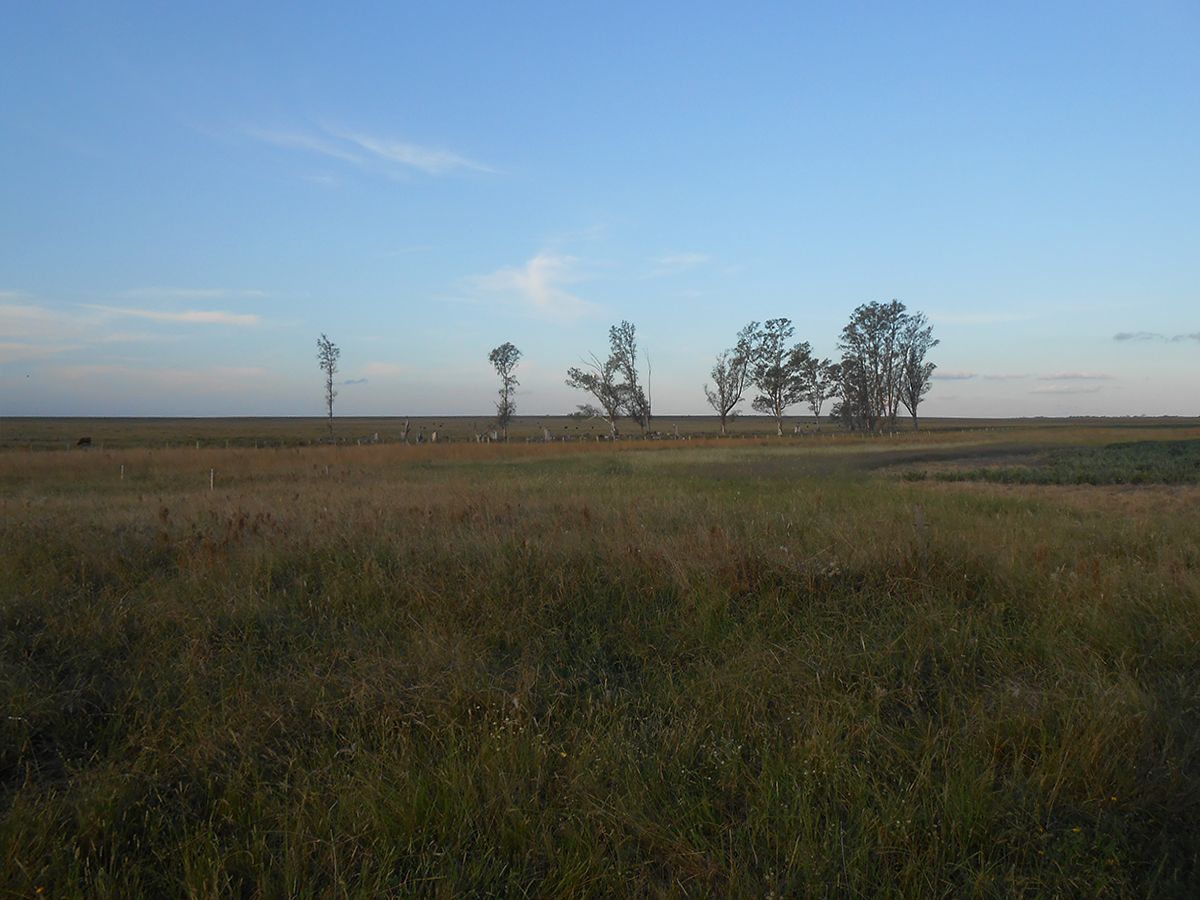 Campo en Termas del Dayman, propiedad 152999 -Imagen 4