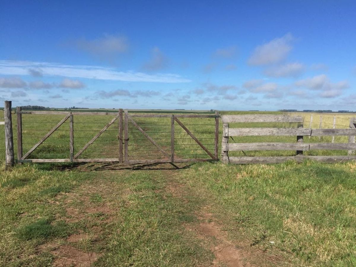 Campo en Termas del Dayman, propiedad 152999 -Imagen 2