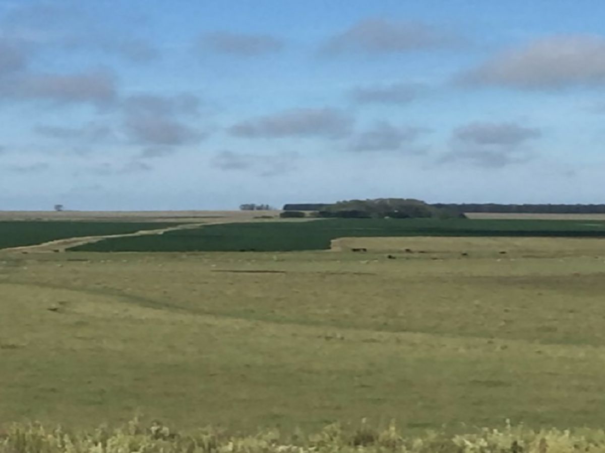 Campo en Termas del Dayman, propiedad 152999 -Imagen 8