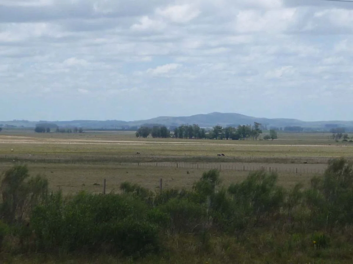 Campo en La Pedrera, propiedad 173636 -Imagen 5