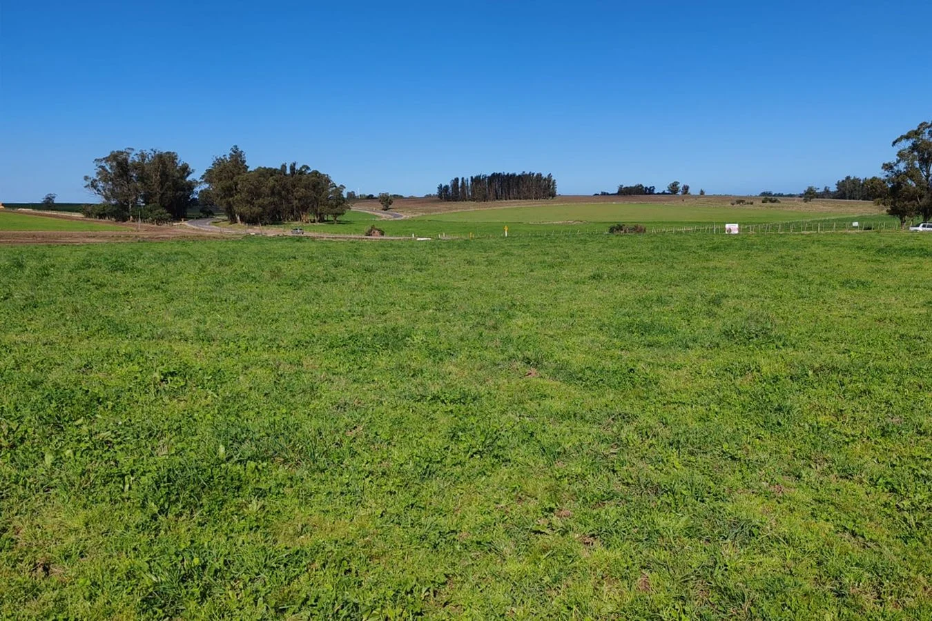 Campo en Manantiales, propiedad 200831 -Imagen 4