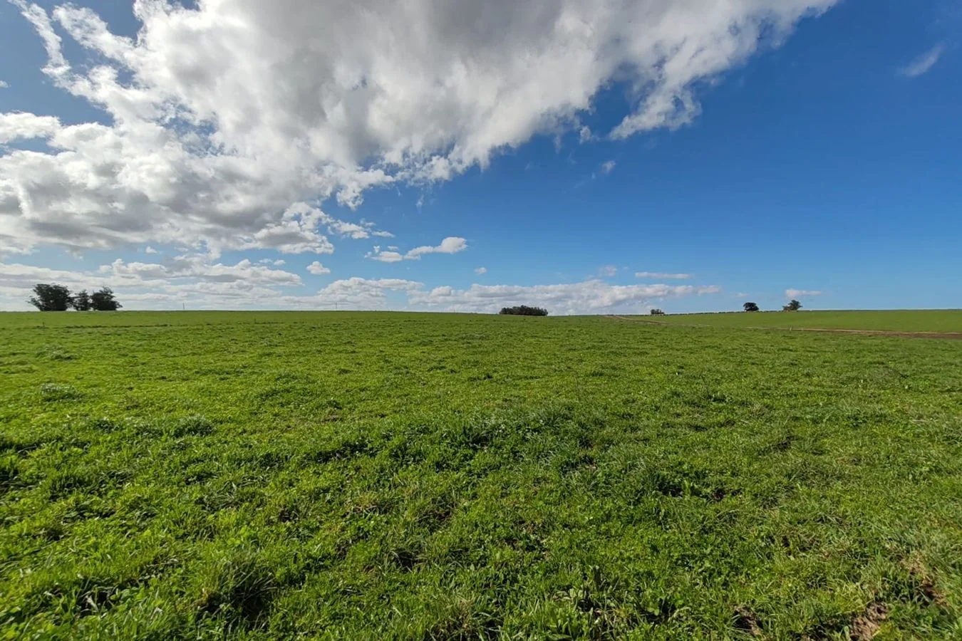 Campo en Manantiales, propiedad 200831 -Imagen 6