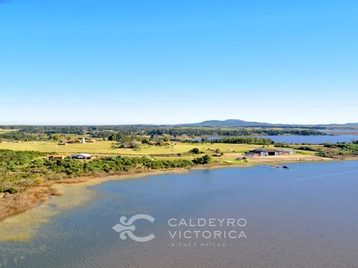 Campo en Laguna del Sauce, propiedad 203620 -Imagen 1