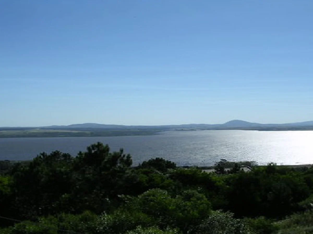 Campo en Laguna del Sauce, propiedad 203620 -Imagen 2