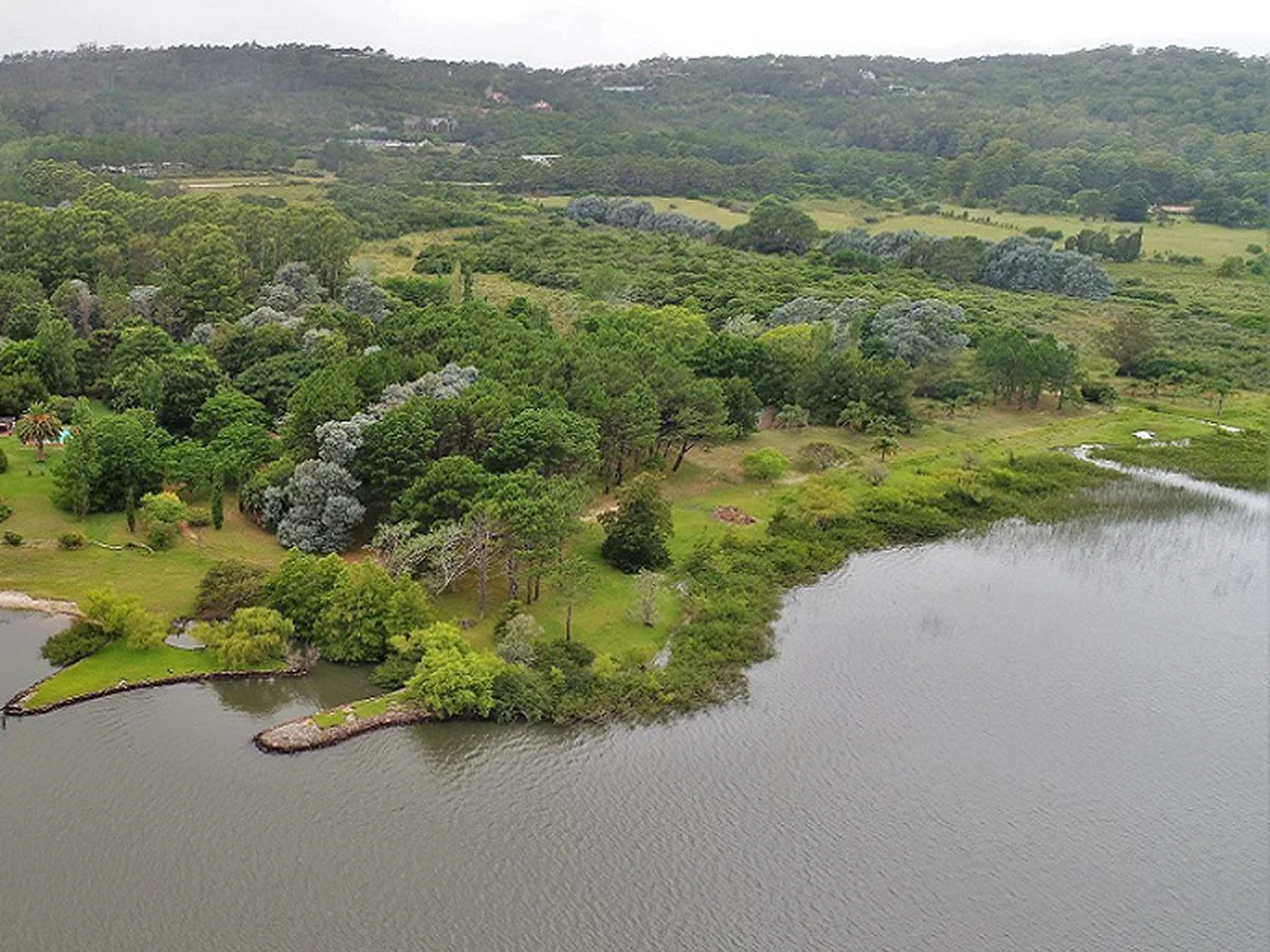 Campo en Laguna del Sauce, propiedad 203620 -Imagen 3