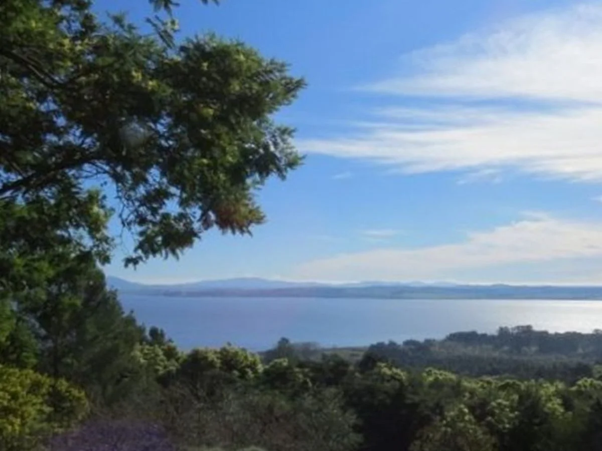 Campo en Laguna del Sauce, propiedad 203620 -Imagen 5