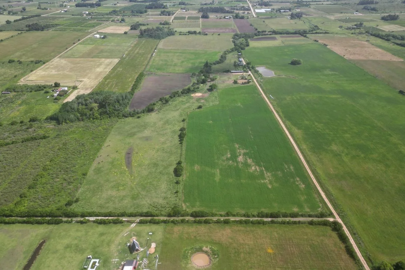 Campo en Canelones, propiedad 226826 -Imagen 9