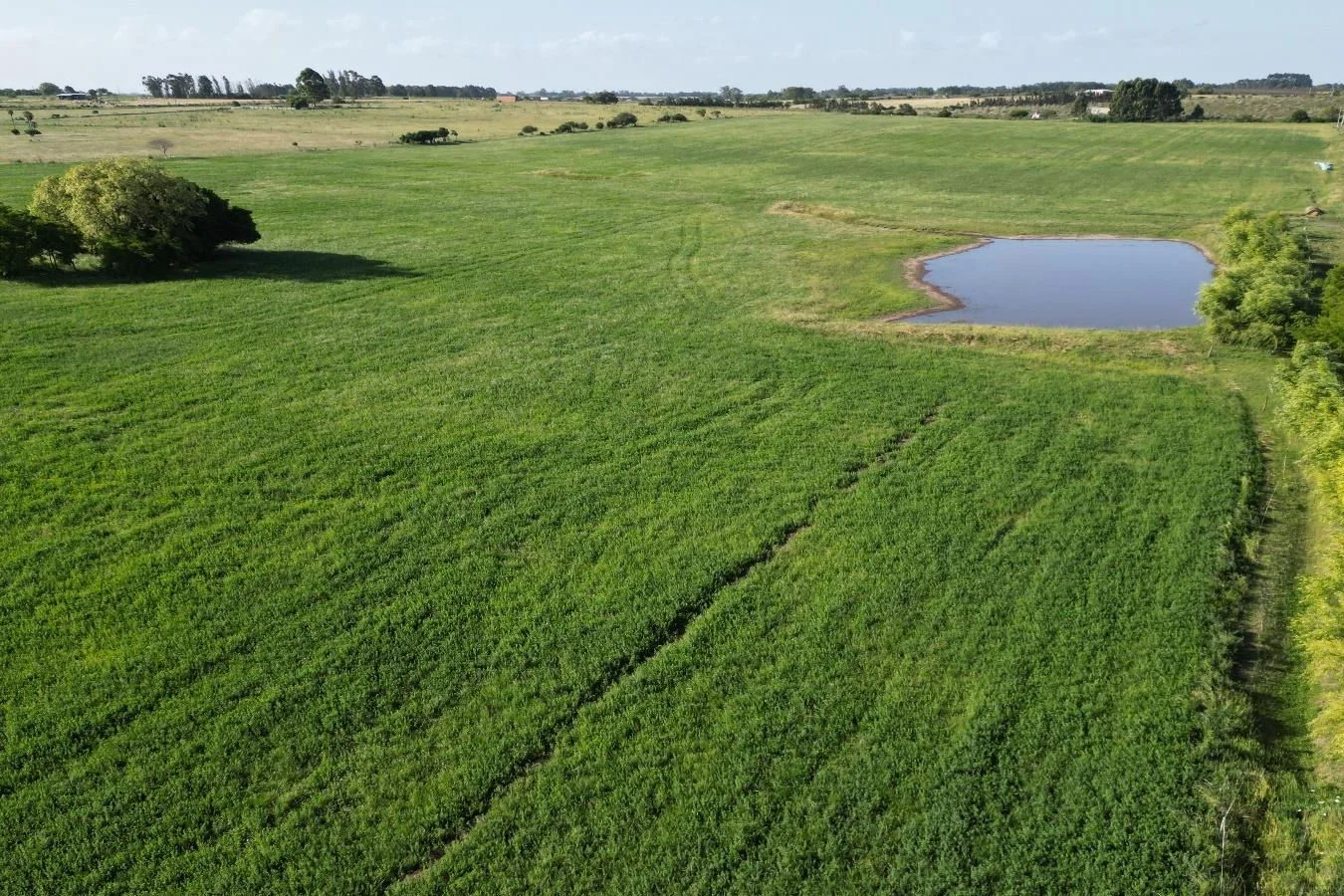 Campo en Canelones, propiedad 226826 -Imagen 5