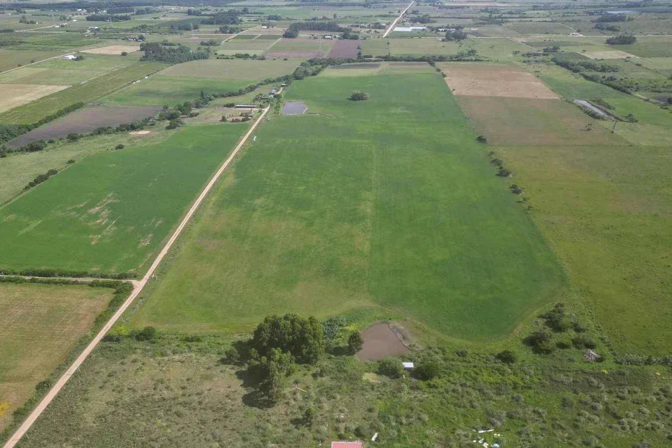 Campo en Canelones, propiedad 226826 -Imagen 8