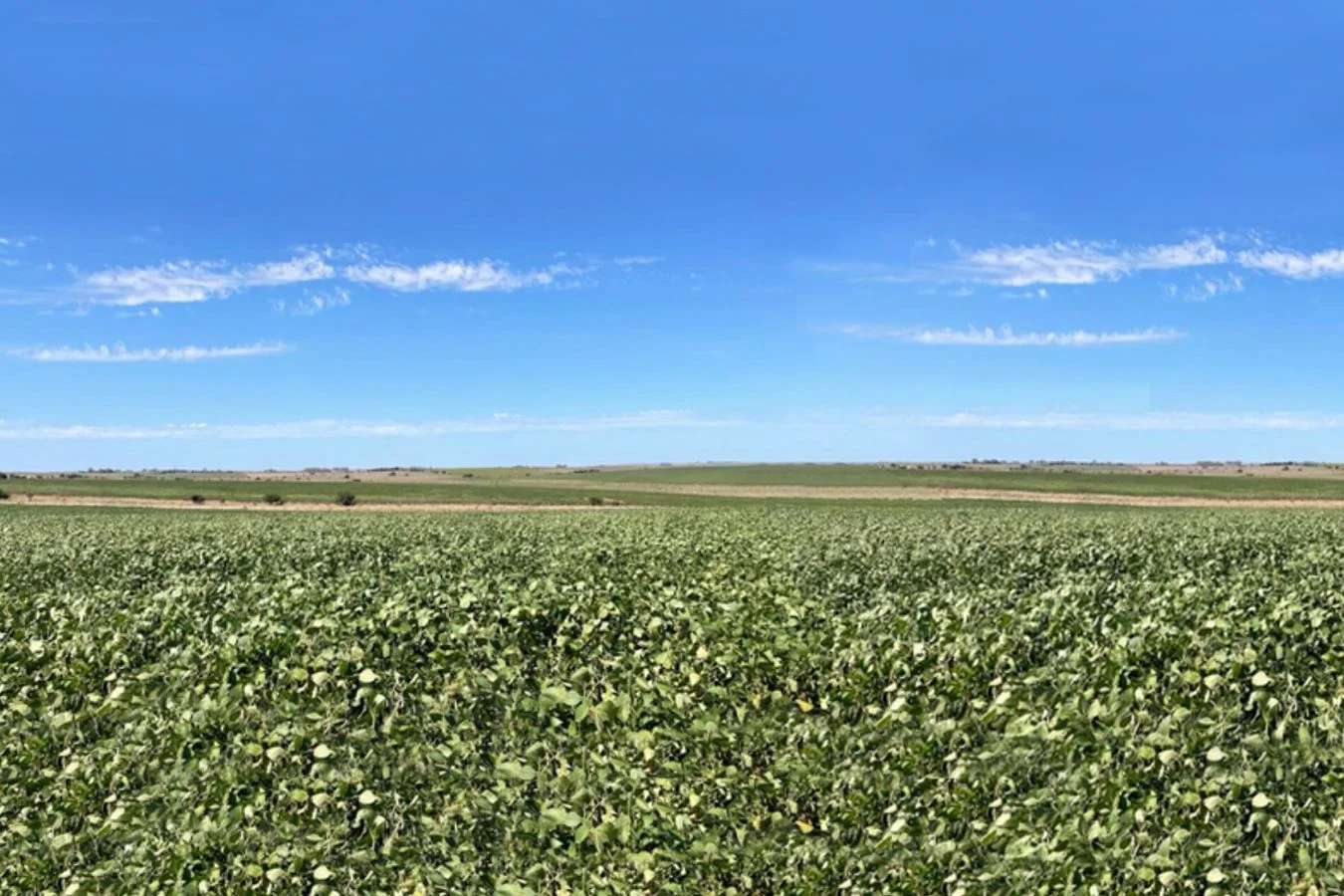 Campo en Libertad, propiedad 227561 -Imagen 5