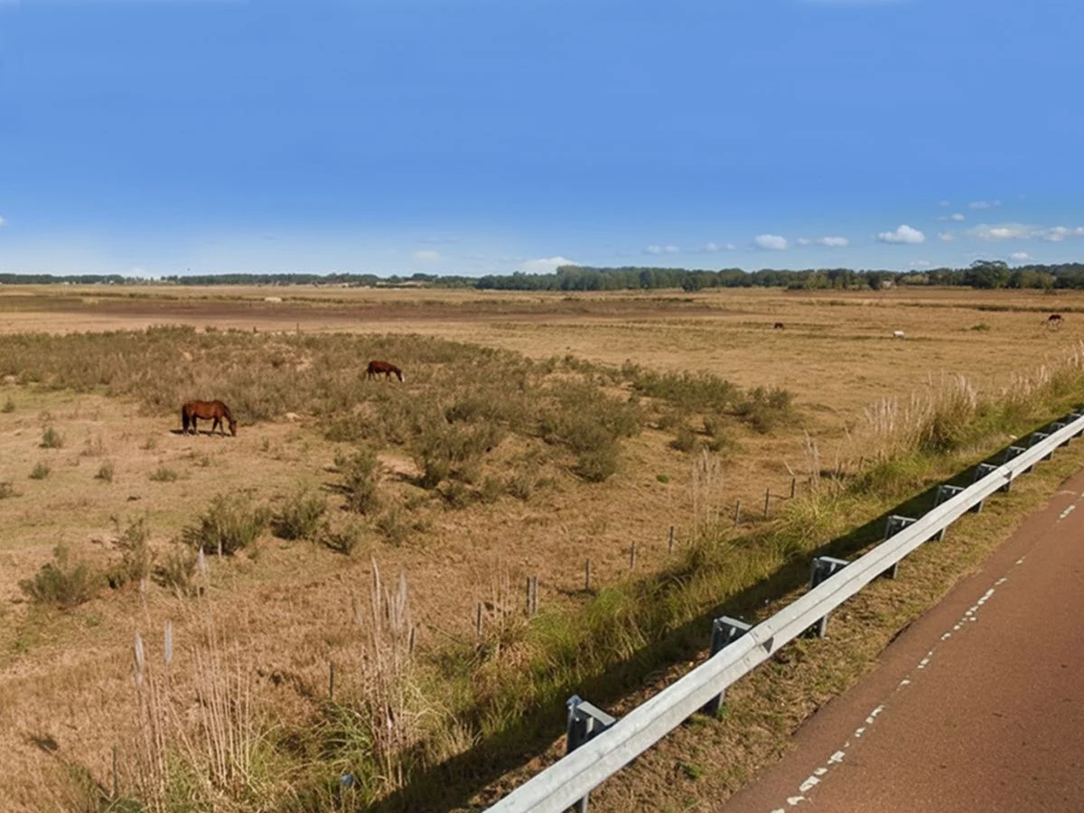 Campo en Portezuelo, propiedad 227881 -Imagen 2