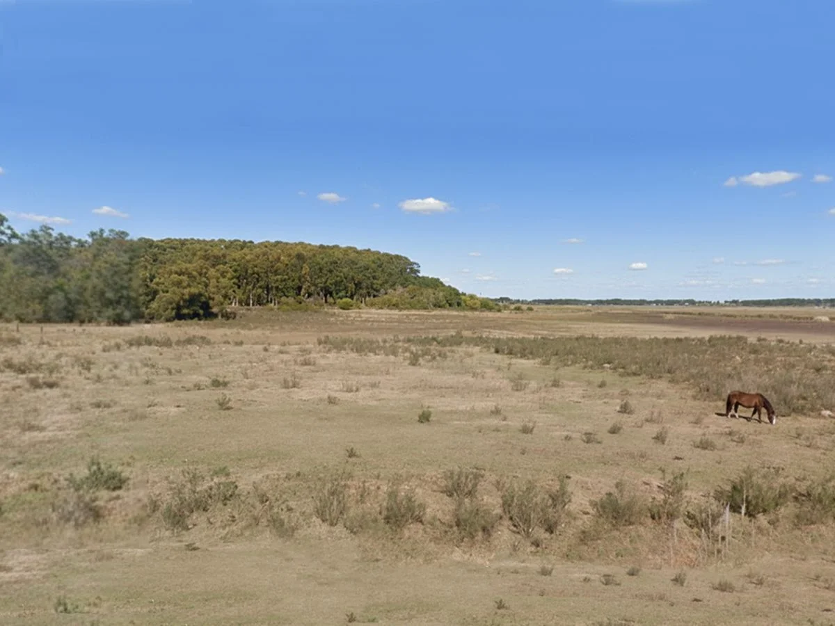 Campo en Portezuelo, propiedad 227881 -Imagen 4