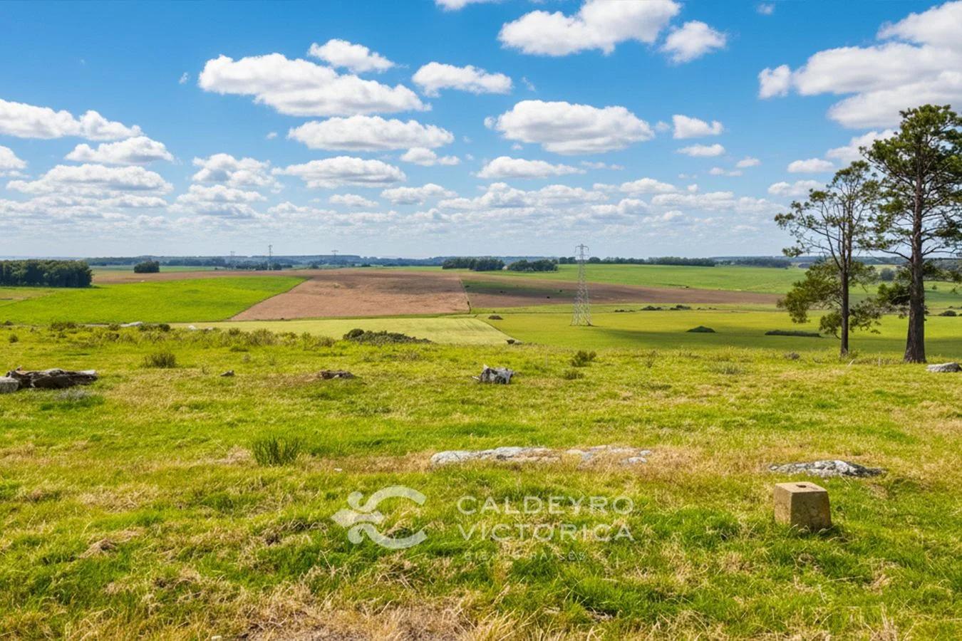Campo en San Carlos, propiedad 234991 -Imagen 1