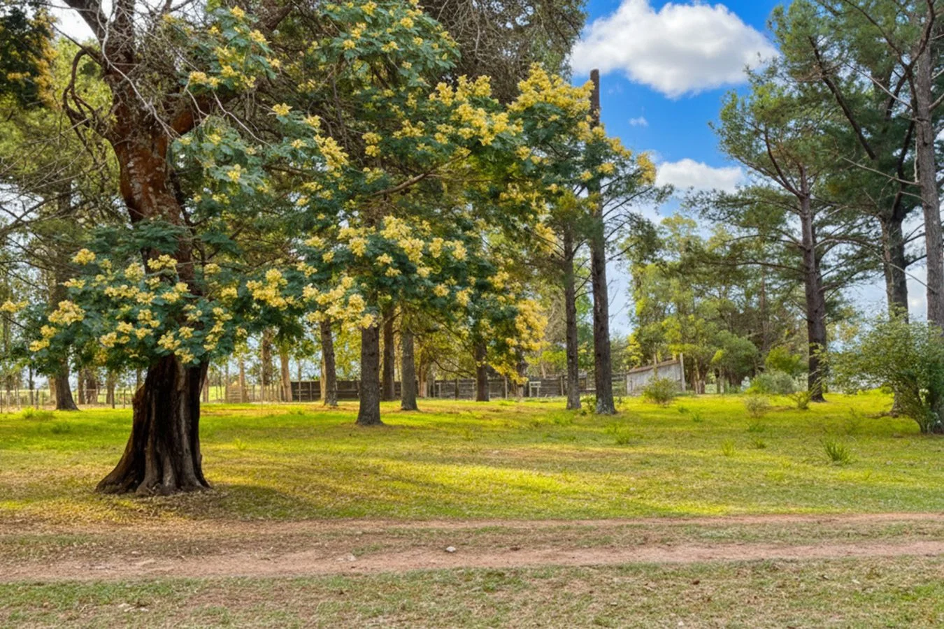 Campo en San Carlos, propiedad 234991 -Imagen 2
