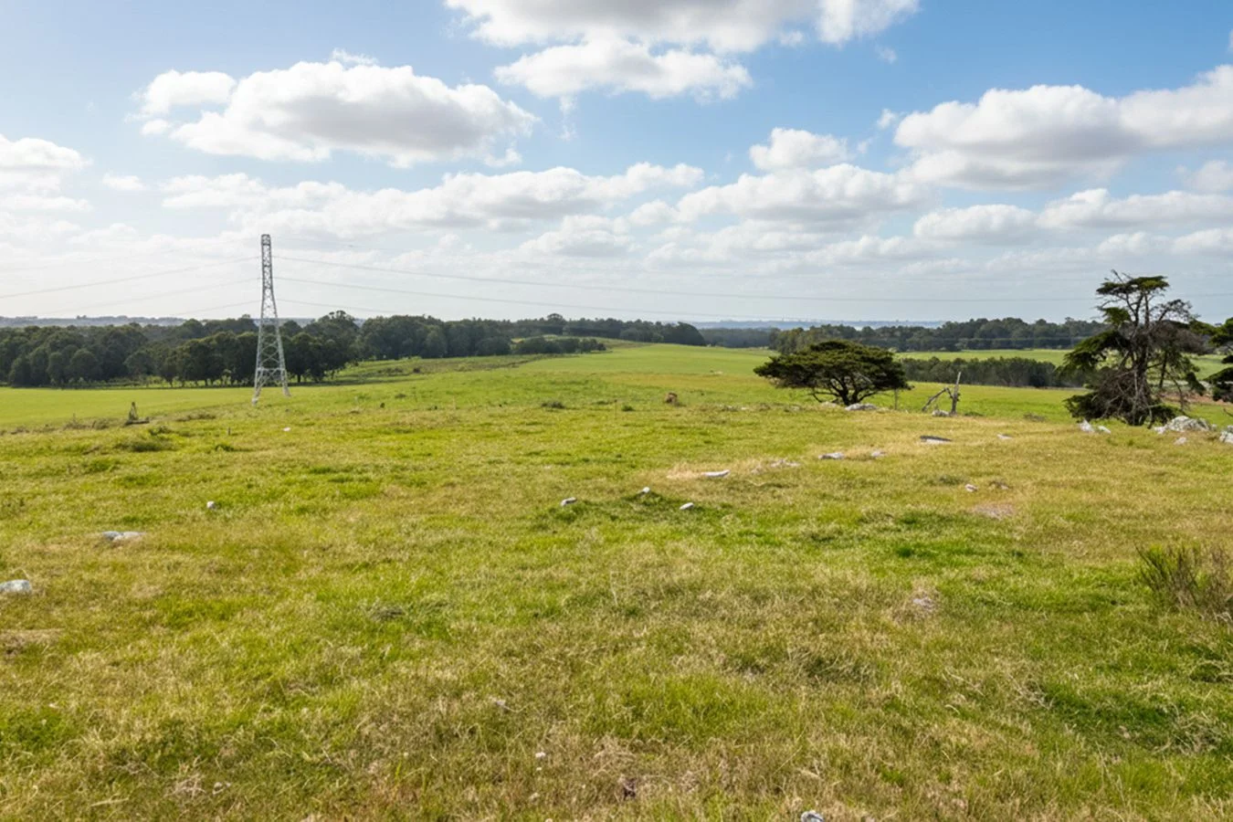 Campo en San Carlos, propiedad 234991 -Imagen 7