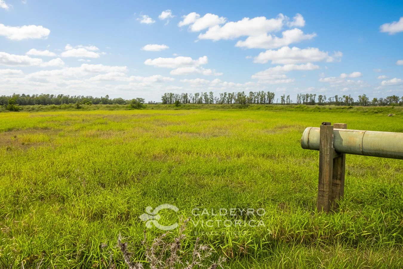 Campo en Constitución, propiedad 234992 -Imagen 1