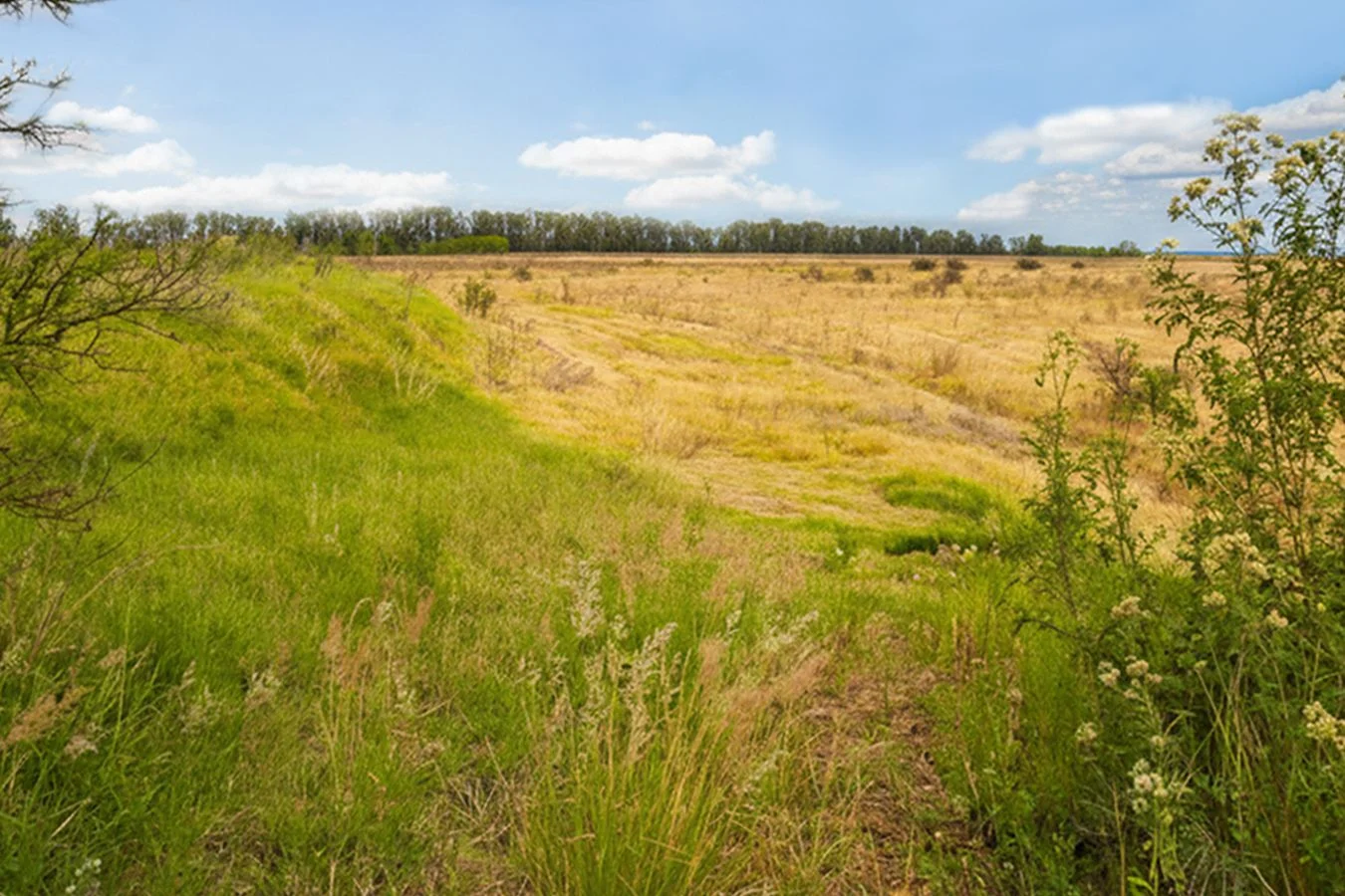 Campo en Constitución, propiedad 234992 -Imagen 2