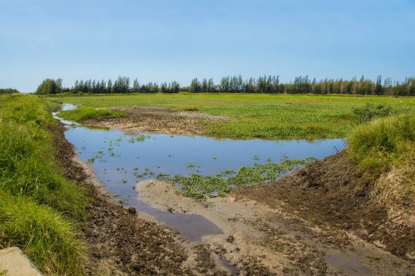 Campo en Constitución, propiedad 234992 -Imagen 3