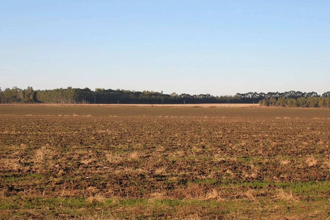 Campo en Constitución, propiedad 234992 -Imagen 4
