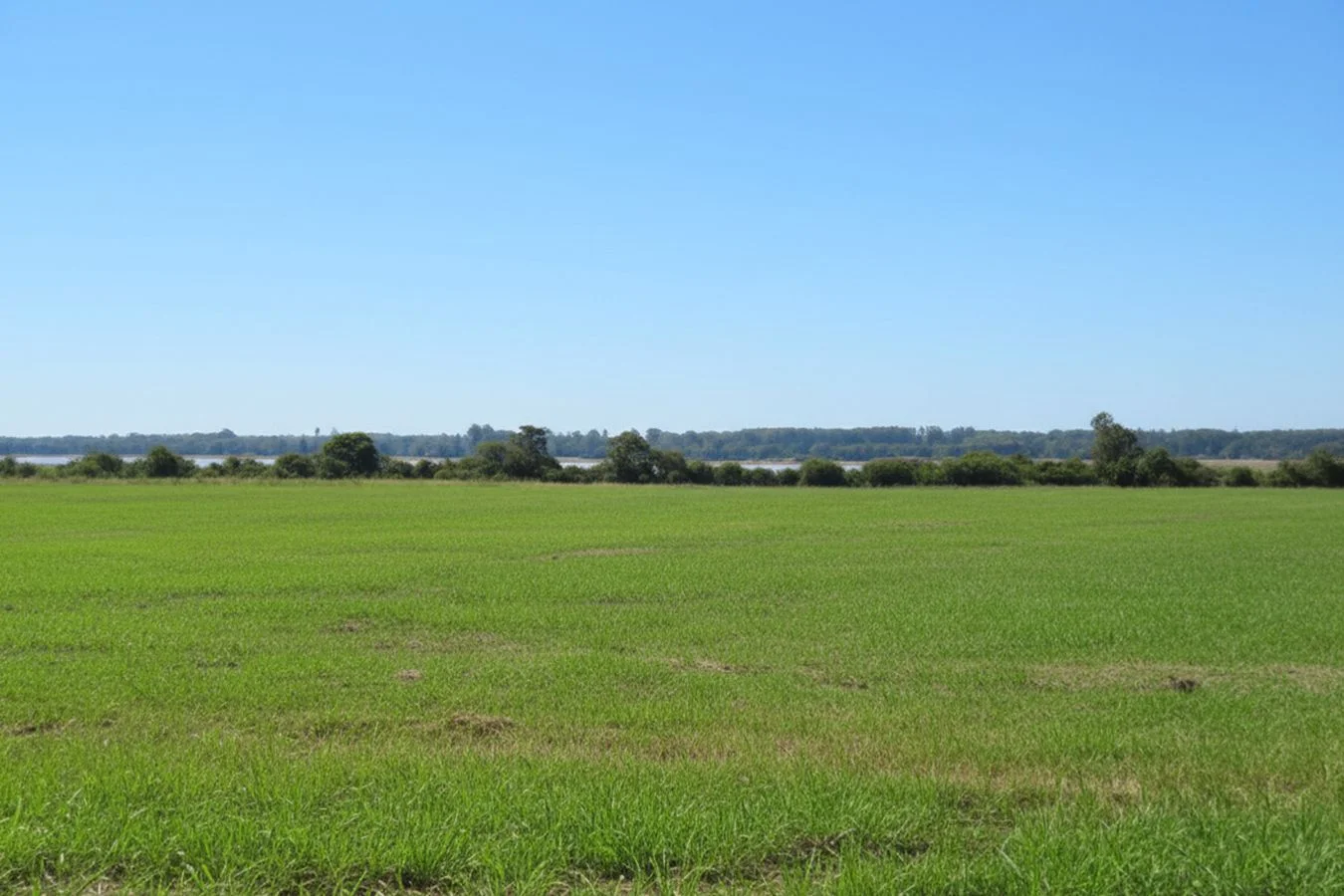 Campo en Constitución, propiedad 234992 -Imagen 6