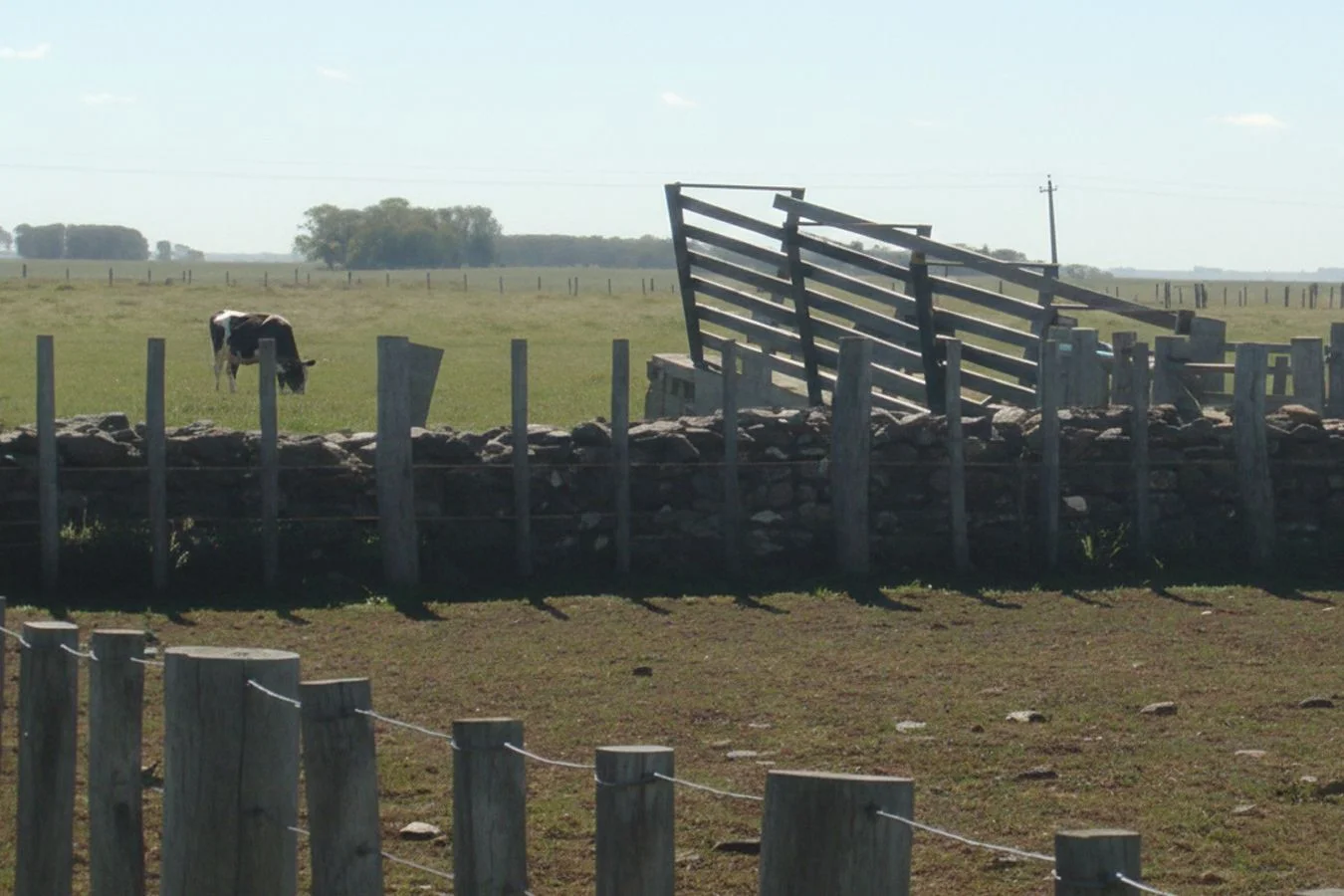 Campo en Bernabé Rivera, propiedad 234993 -Imagen 13