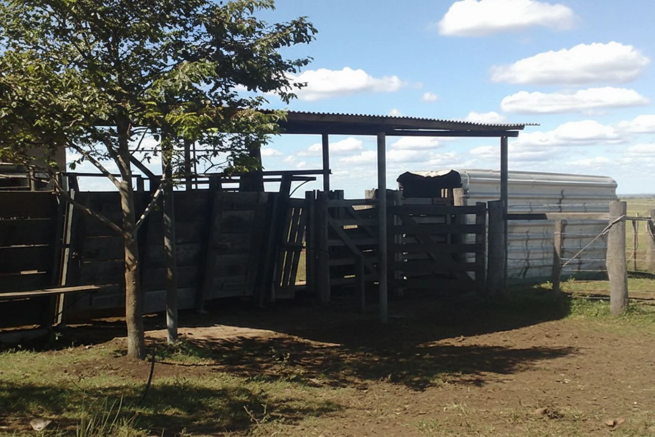 Campo en Bernabé Rivera, propiedad 234993 -Imagen 14