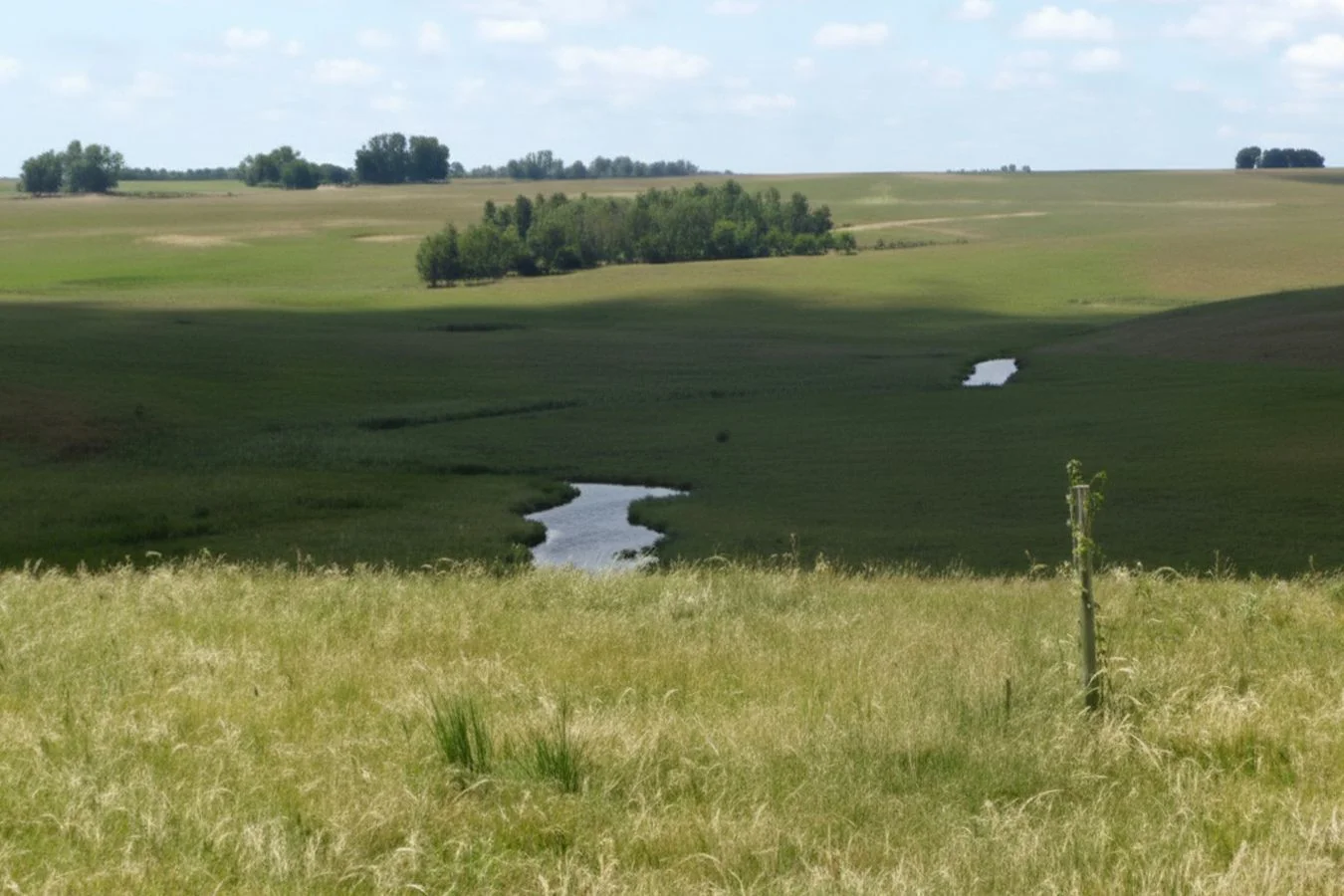 Campo en Bernabé Rivera, propiedad 234993 -Imagen 15